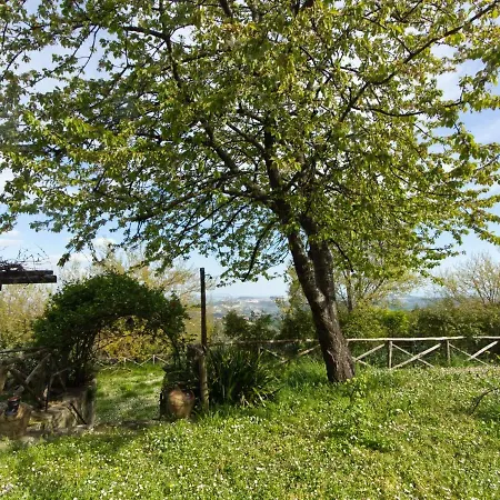 Graceful Holiday In With Garden And Bbq *